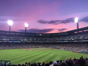 PNC Park Outfield View