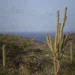 Arikok National Park, Aruba