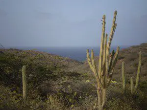 Arikok National Park, Aruba