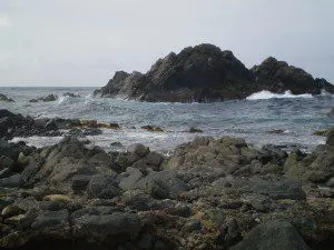 Aruba's Rocky Northern Coast