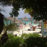 Tropical Foliage, Aruba