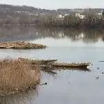 Duck Hollow, Monongahela River, Pittsburgh