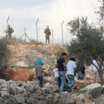 Border Fence, Bilin, Palestine, Central West Bank
