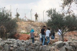 Border Fence, Bilin, Palestine, Central West Bank