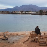 A Man Sits Beside The Red Sea, Dahab, Sinai, Egypt