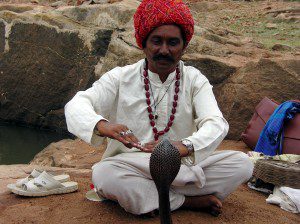 The Snake Charmer, Gujarat, India