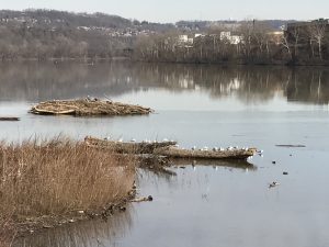 Duck Hollow, Monongahela River, Pittsburgh